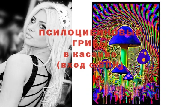 mdpv Михайловск