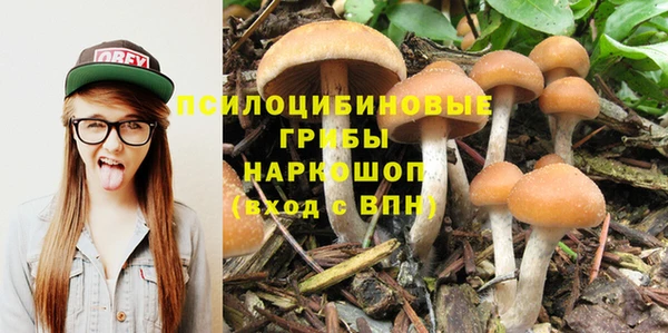 спайс Михайлов