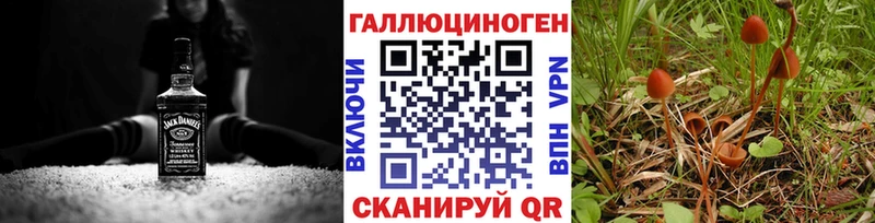 Псилоцибиновые грибы GOLDEN TEACHER  где купить   Северская 